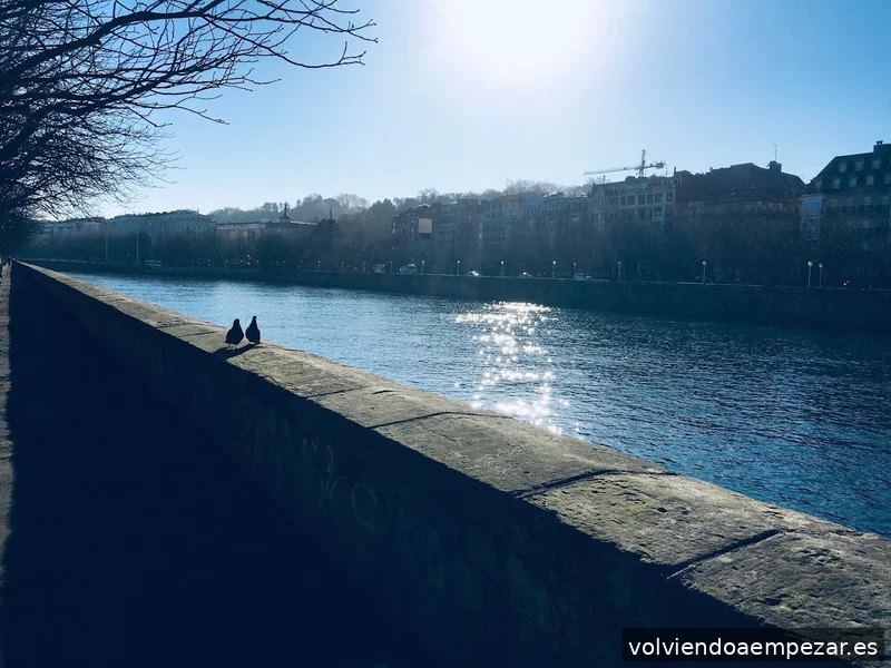 Sybila Amunarriz Kruer